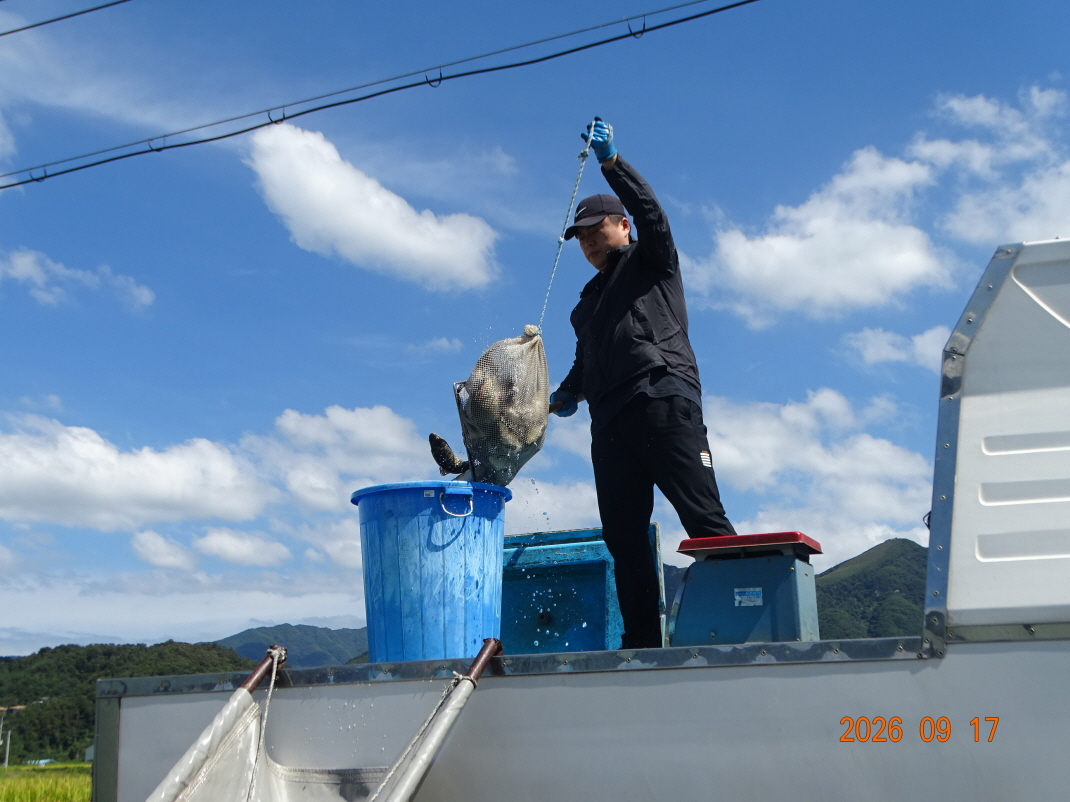 DSC08688.JPG