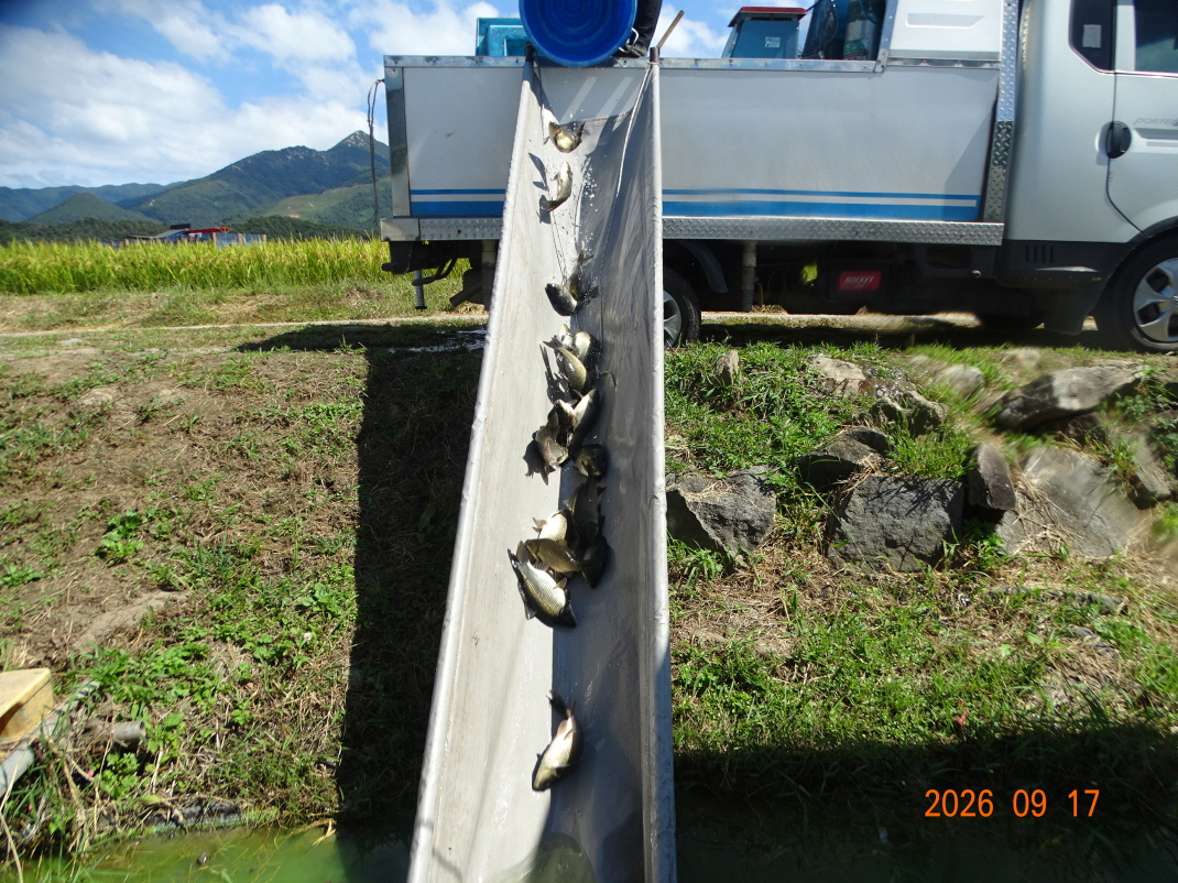 DSC08694.JPG