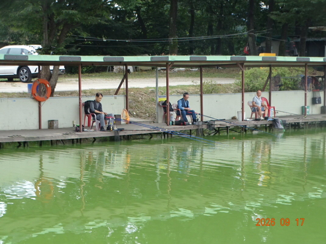 DSC08705.JPG