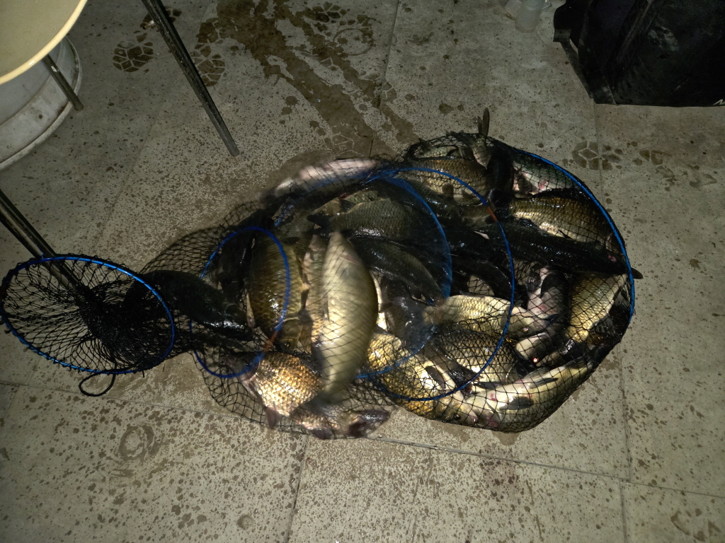 abKakaoTalk_20260917_140735035_03.jpg