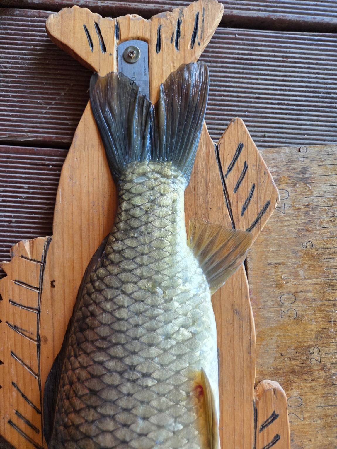 KakaoTalk_20260916_223423726.jpg