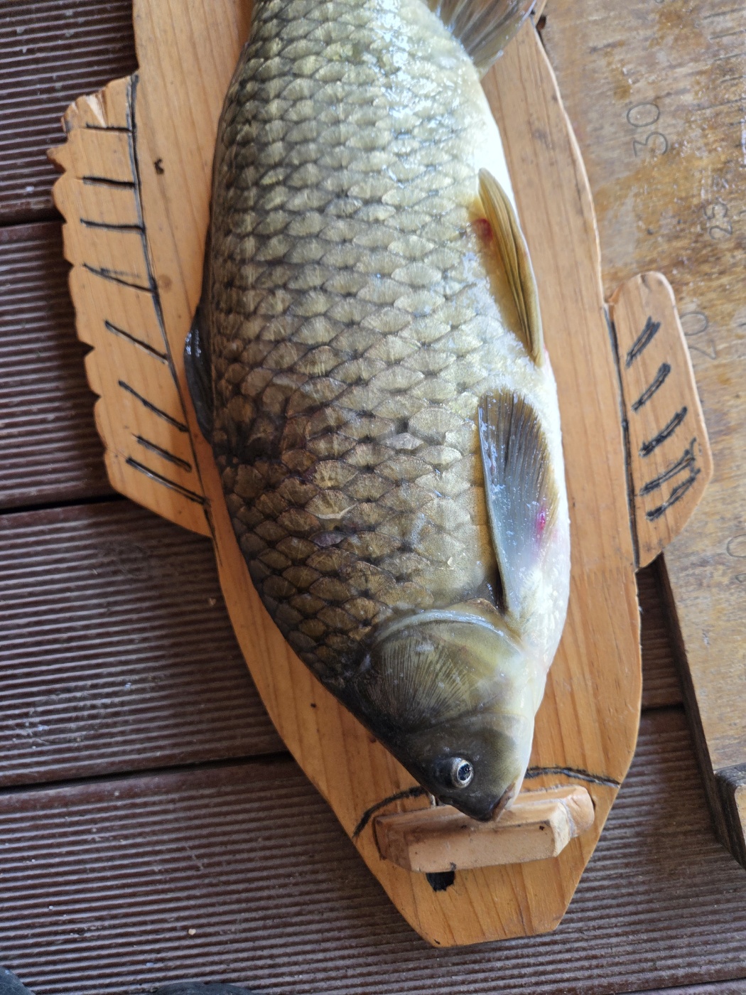 KakaoTalk_20260916_223452052_01.jpg