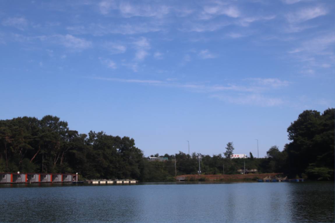 IMG_8189.JPG