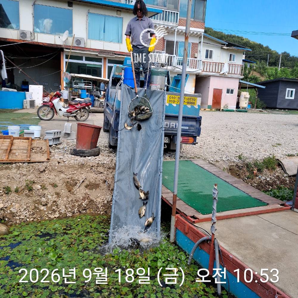 1789701458912.jpg
