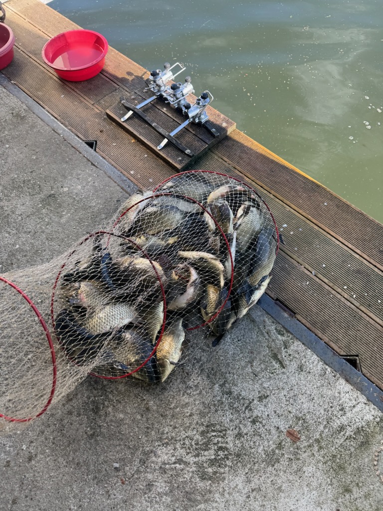 1000016673.jpg