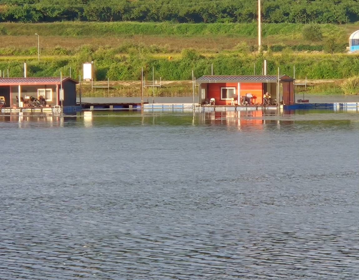 20260919_071052.jpg