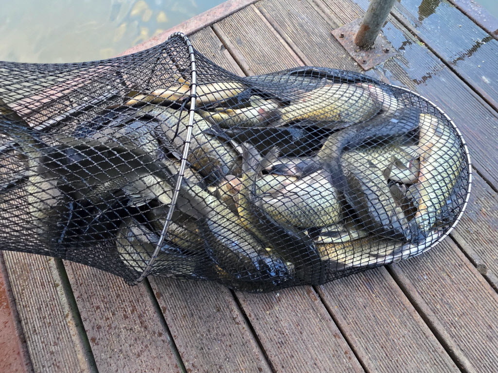 abKakaoTalk_20260919_091153340_02.jpg