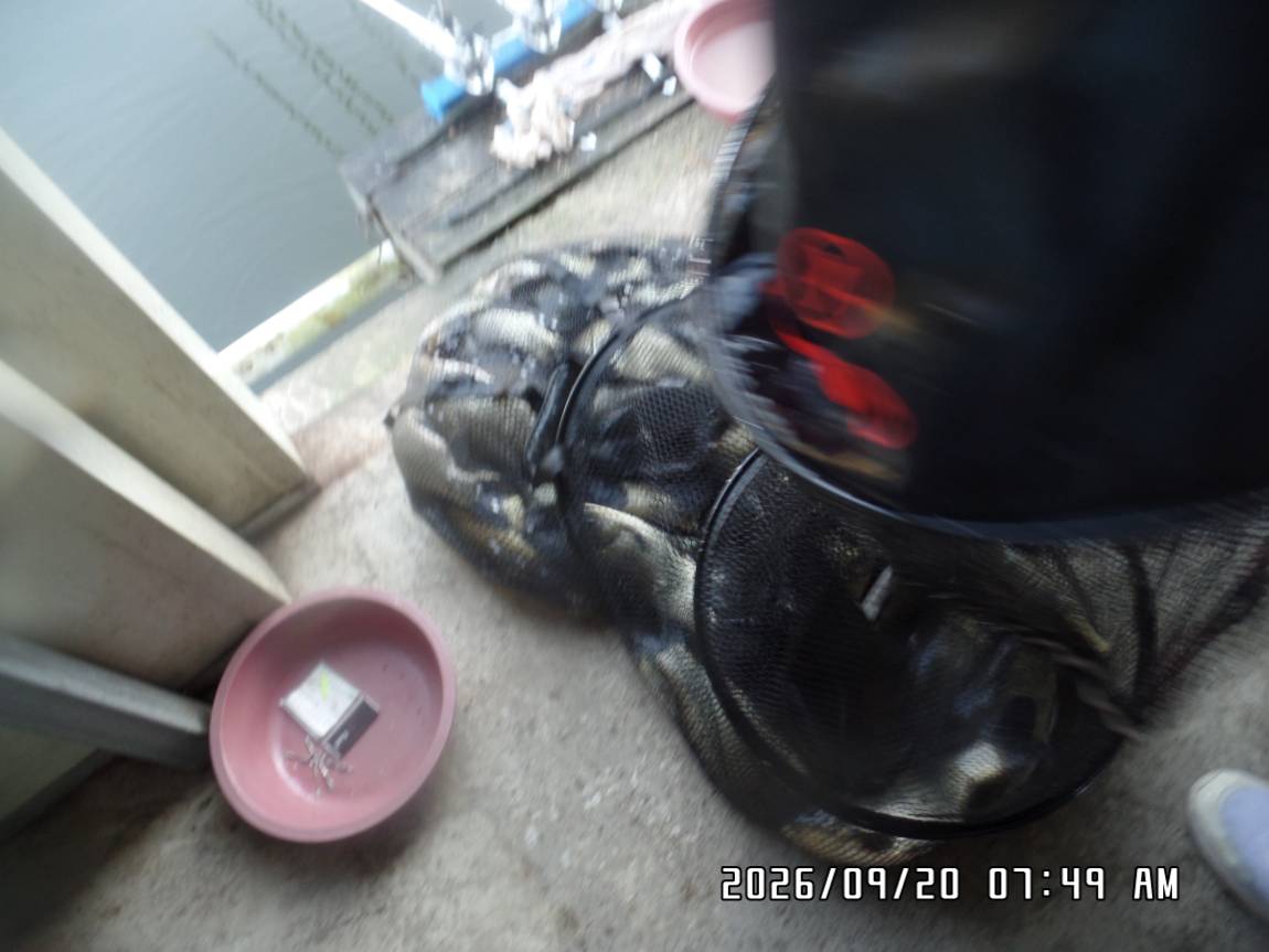 SAM_9582.JPG