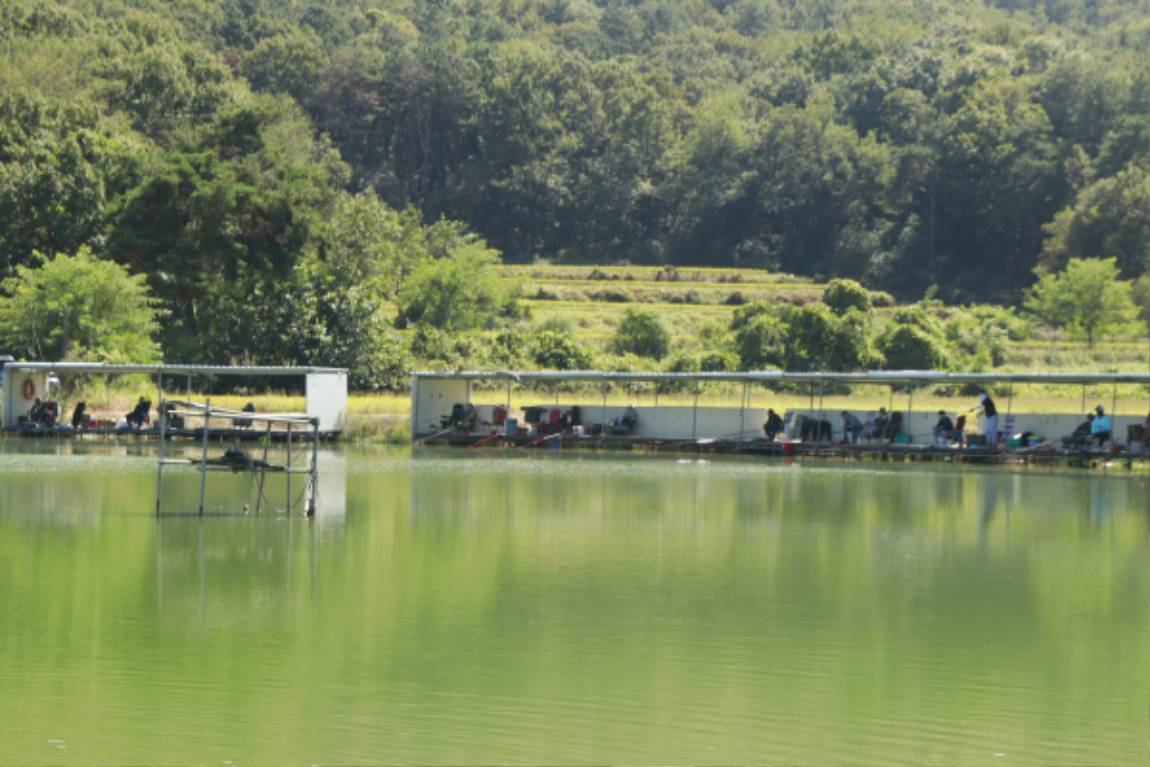 _MG_8224.JPG