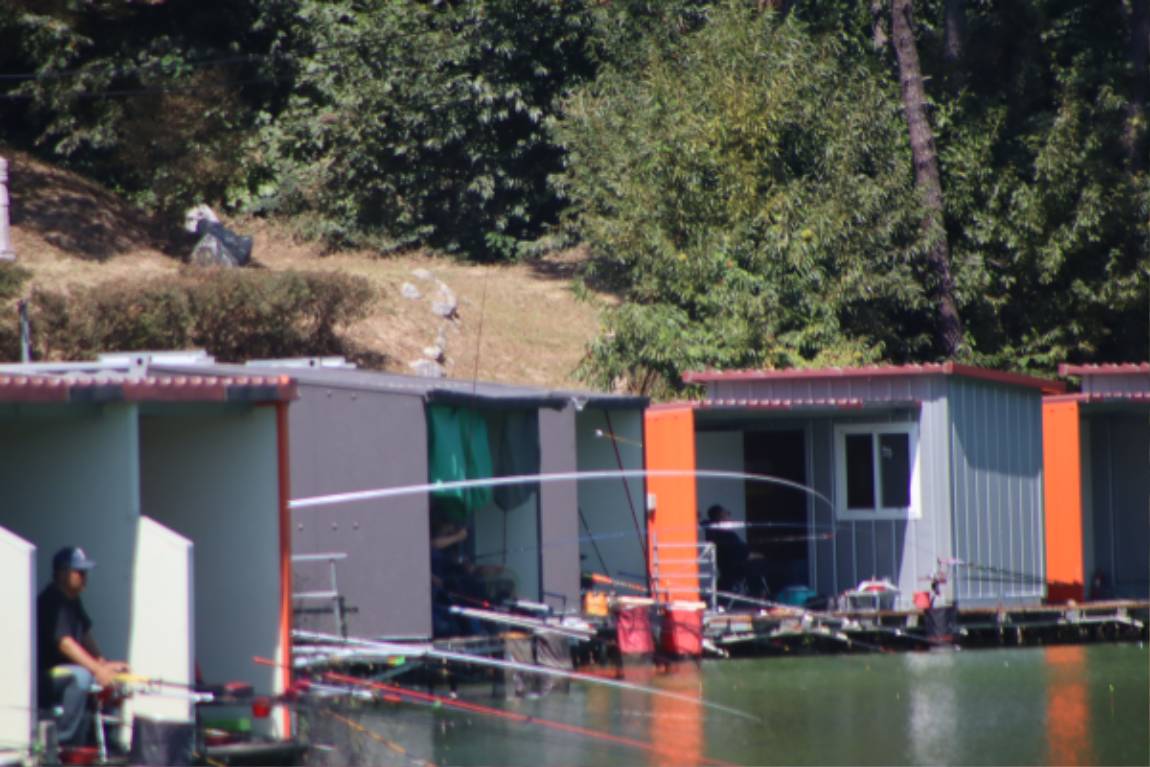 IMG_8256.JPG