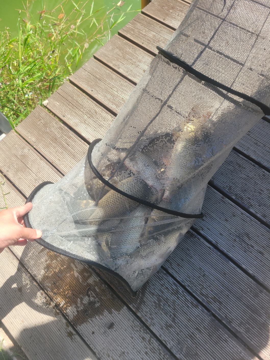 KakaoTalk_20260920_115203390.jpg