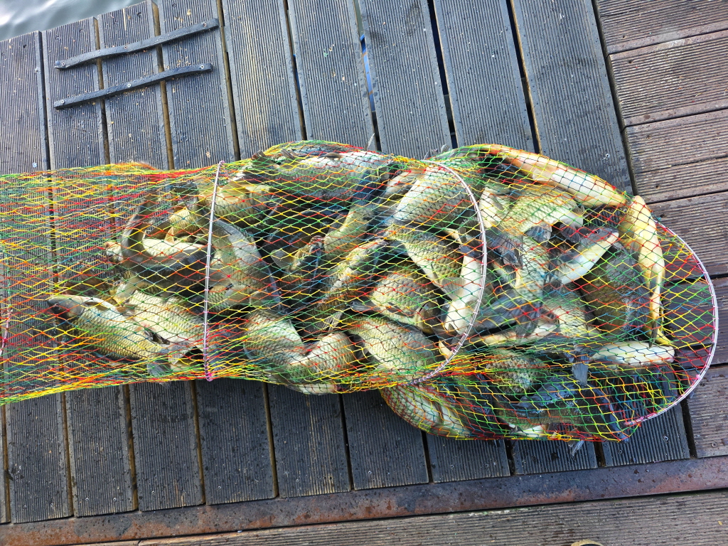 abKakaoTalk_20260920_110223428_11.jpg