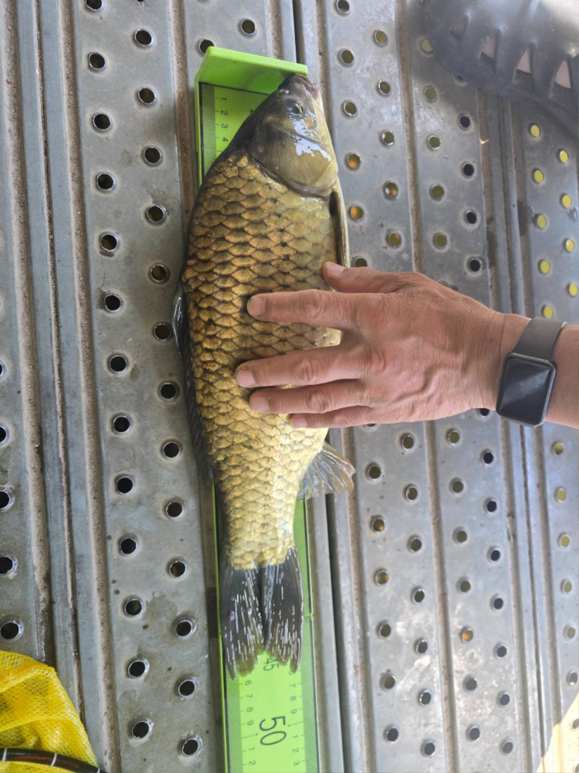 KakaoTalk_20260920_085104434.jpg