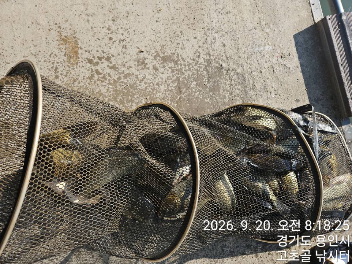 1789879333883.jpg