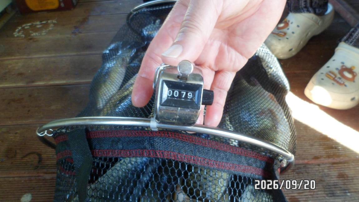 SAM_7954.JPG