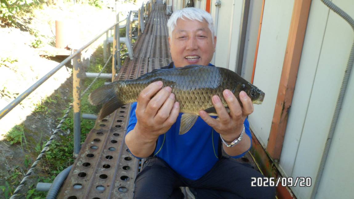 SAM_7959.JPG