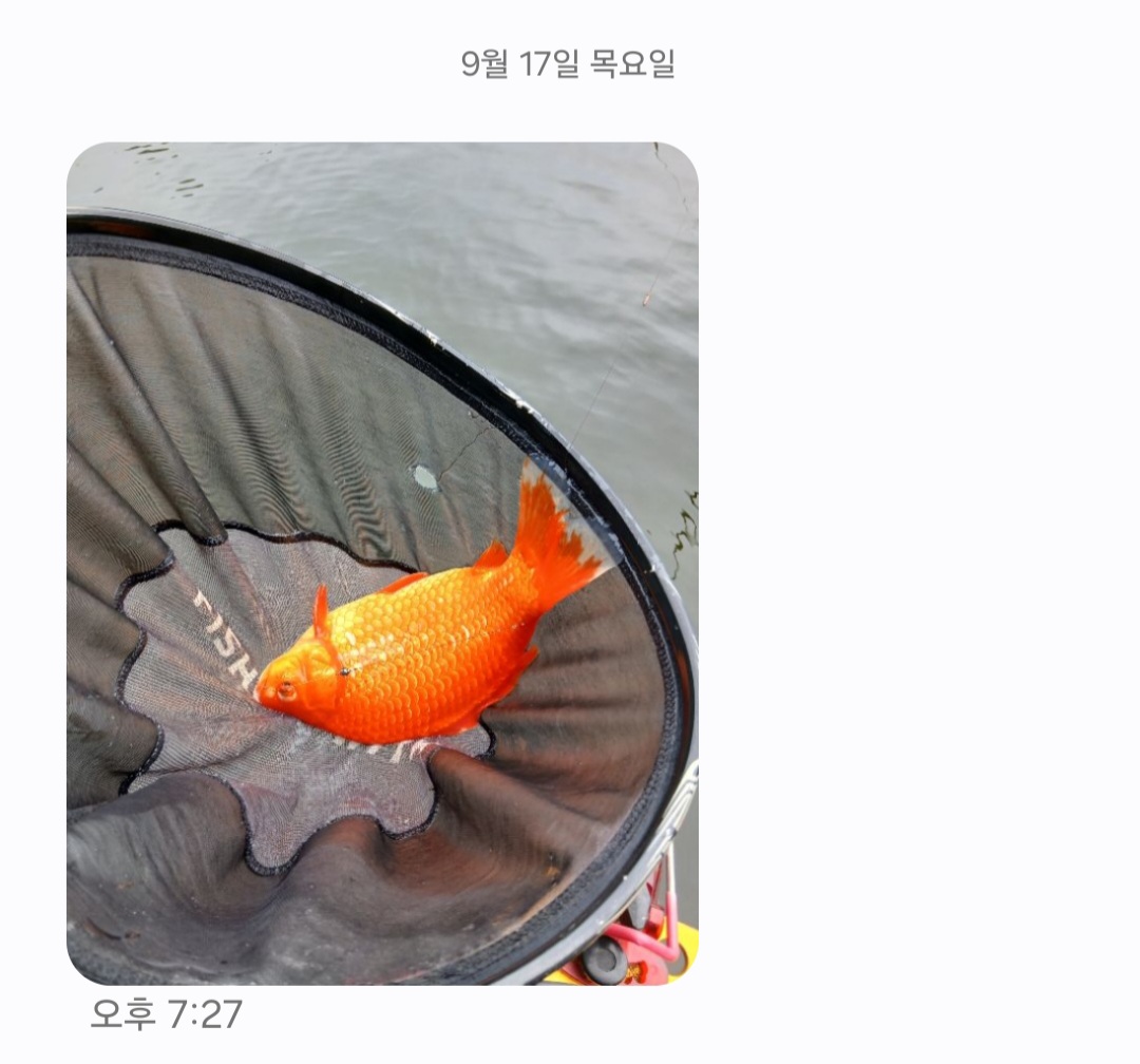 KakaoTalk_20260921_192020703.jpg