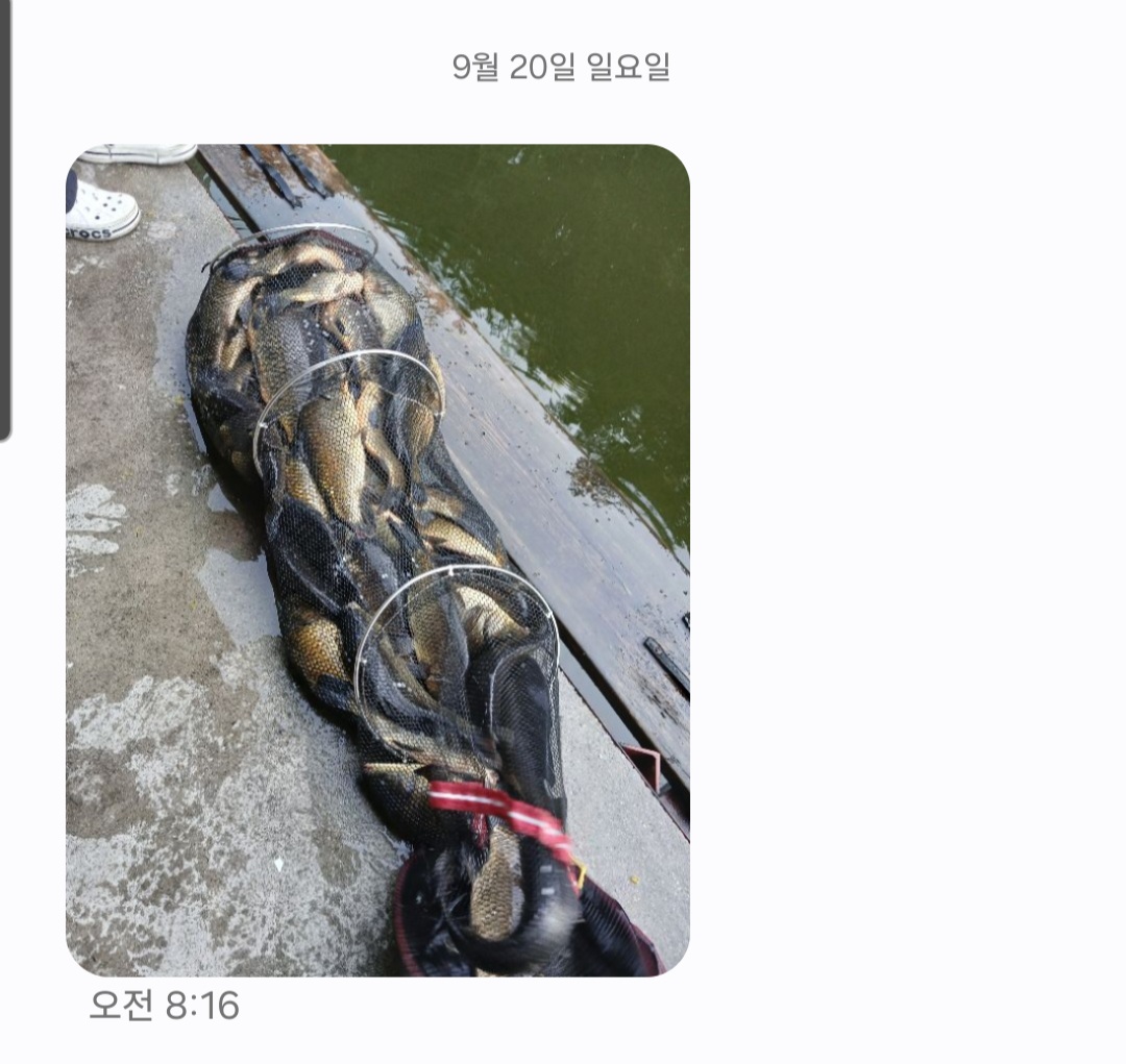 KakaoTalk_20260921_192020703_01.jpg