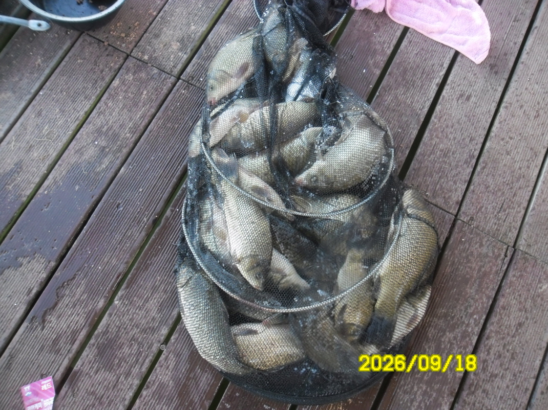 SAM_2800.JPG