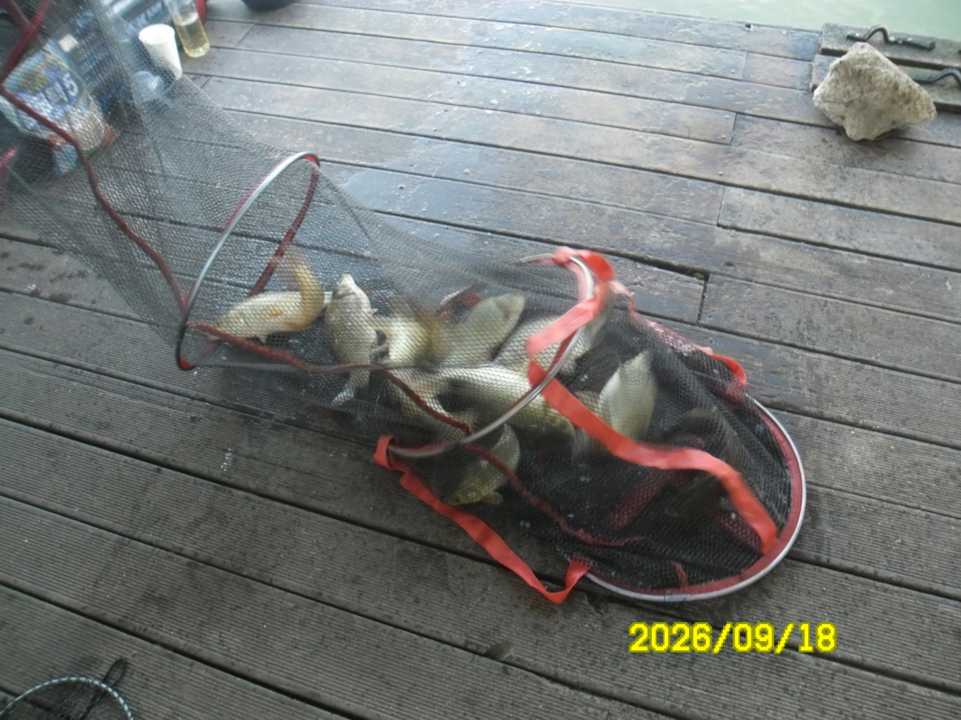 SAM_2808.JPG