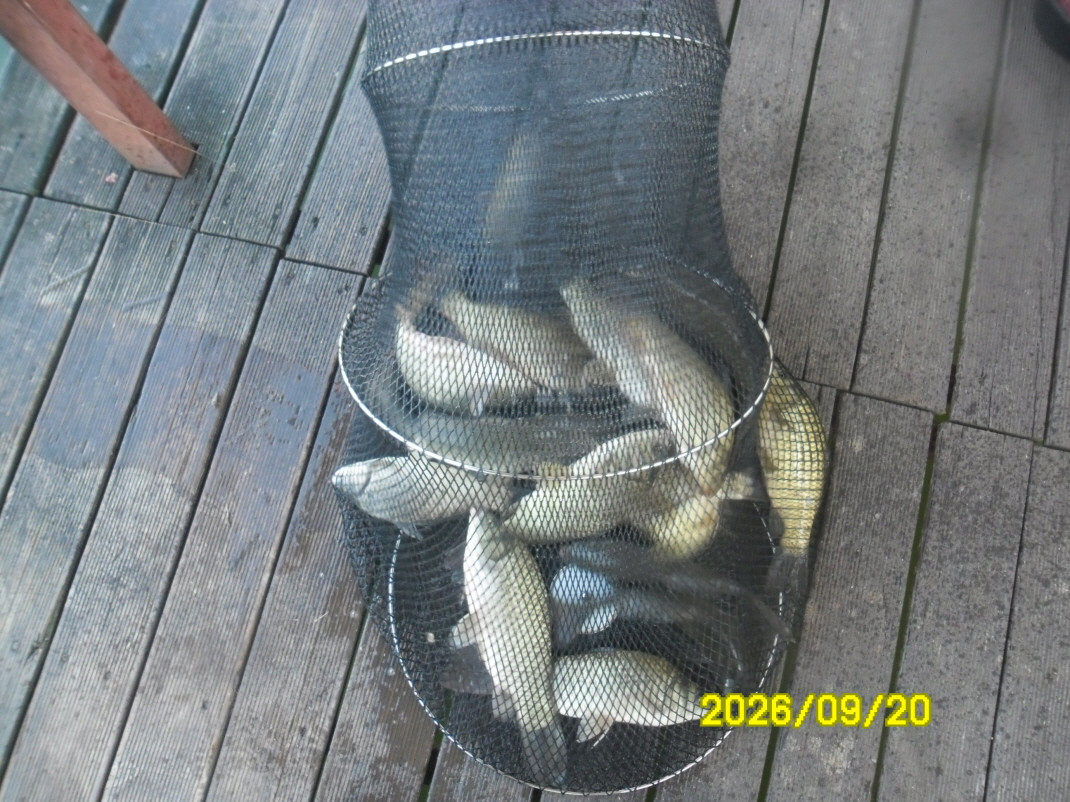 SAM_2905.JPG