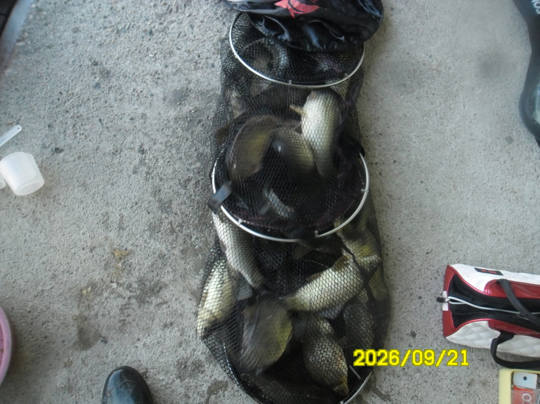 SAM_2909.JPG