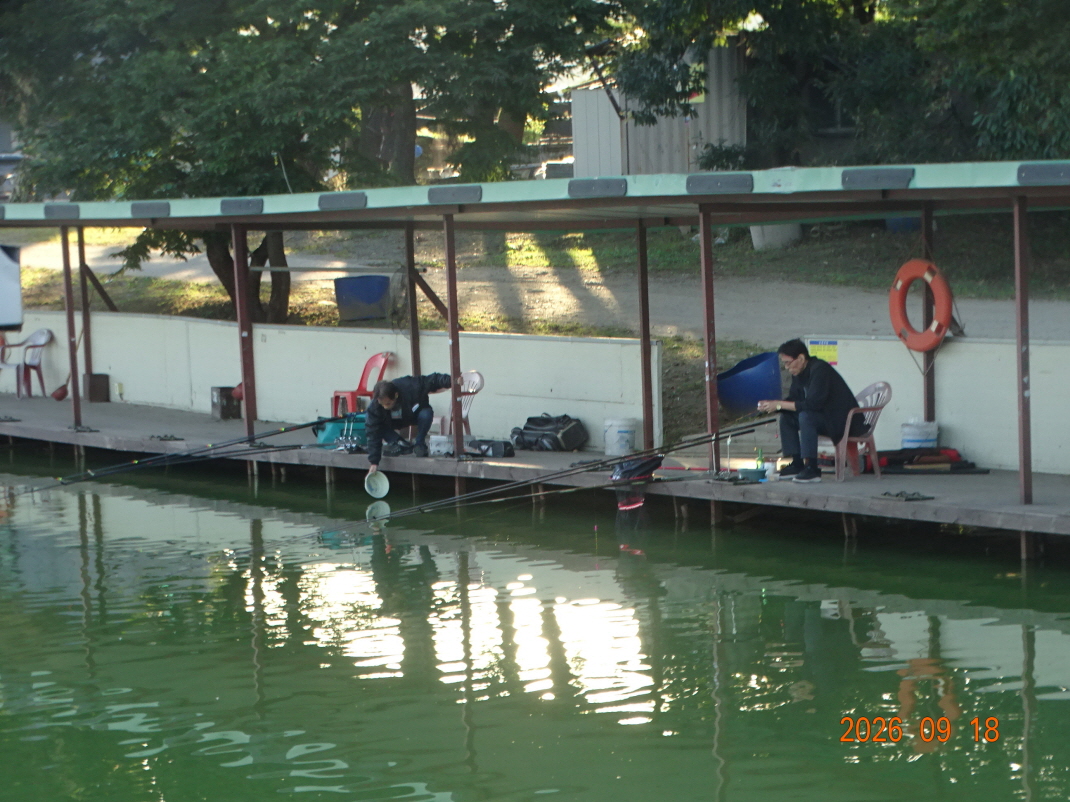 DSC08712.JPG