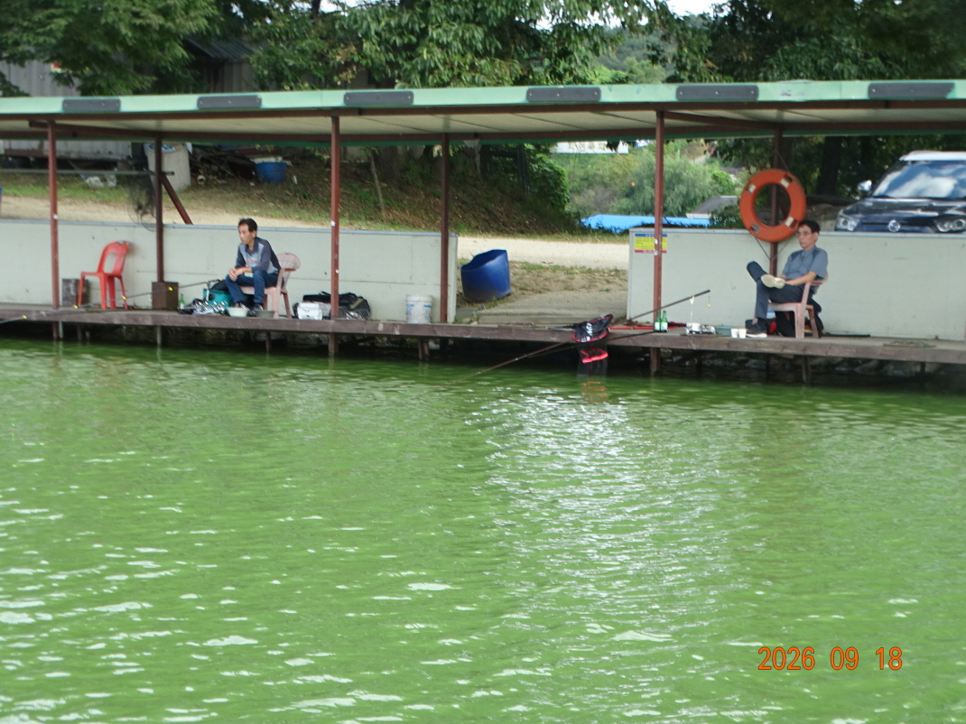 DSC08735.JPG