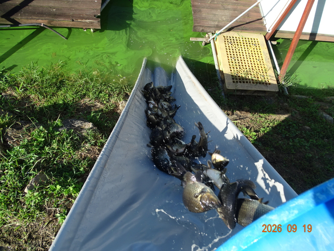 DSC08764.JPG