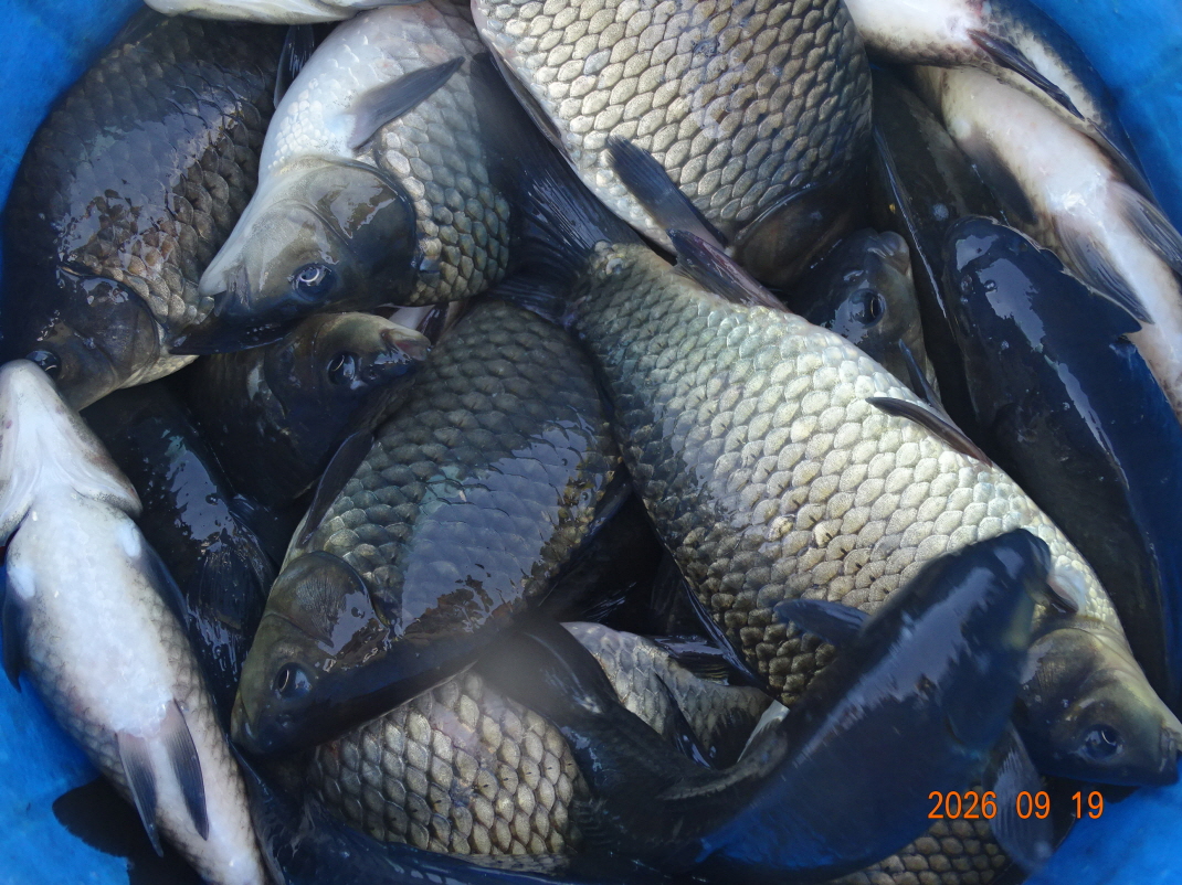 DSC08763.JPG