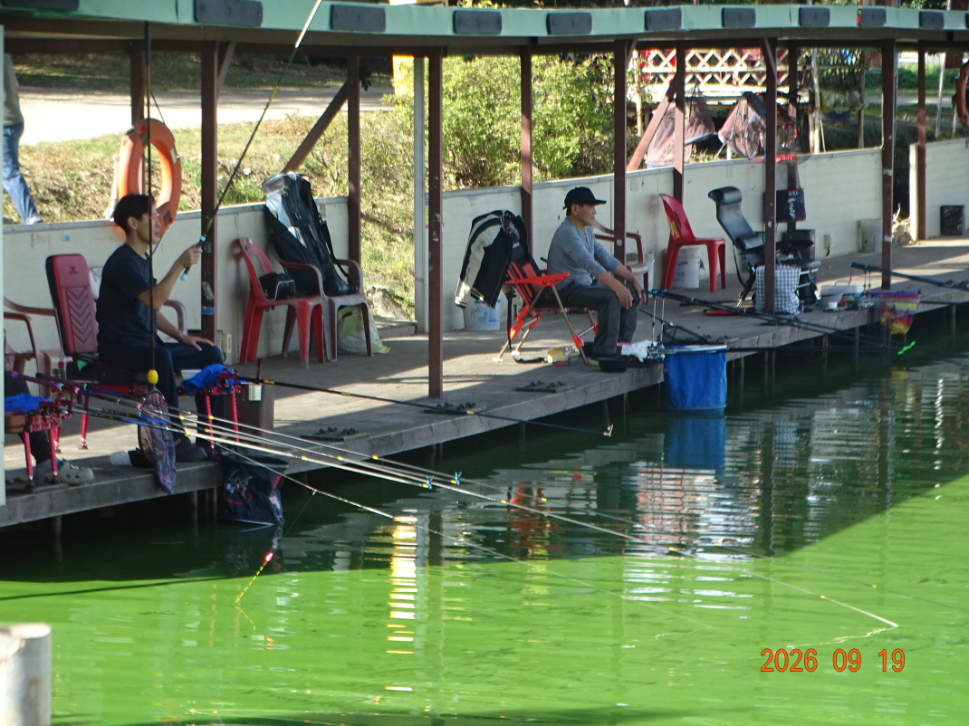 DSC08795.JPG