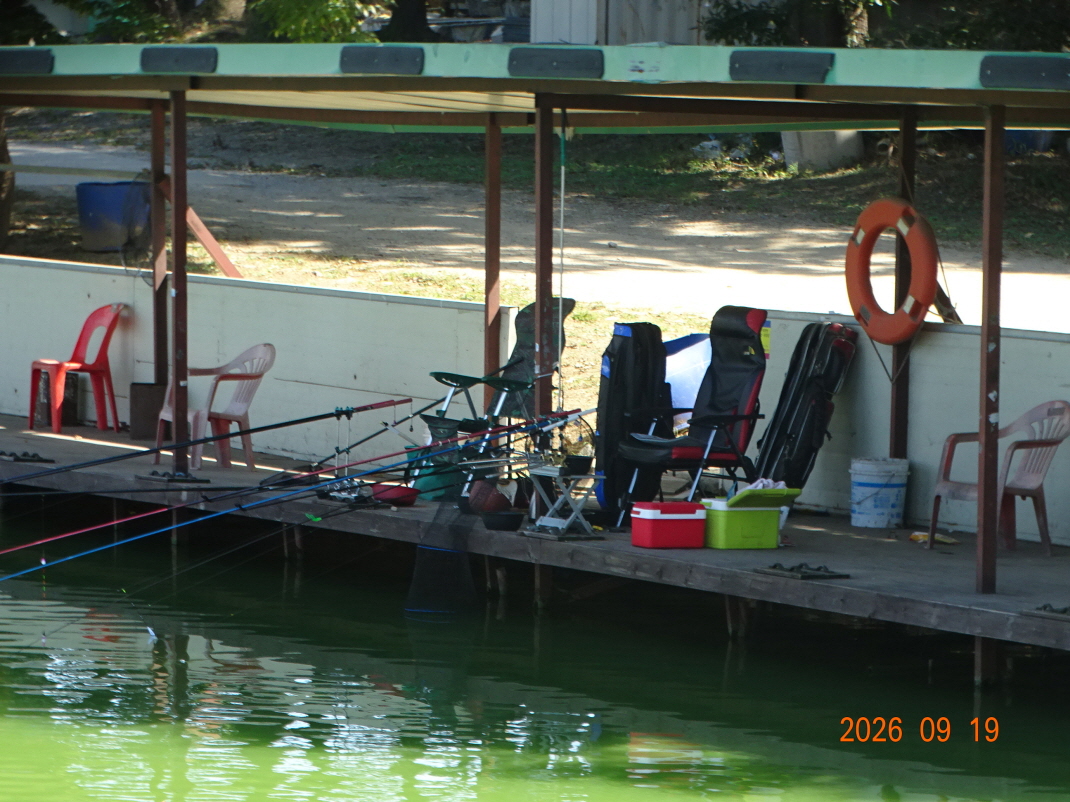 DSC08798.JPG