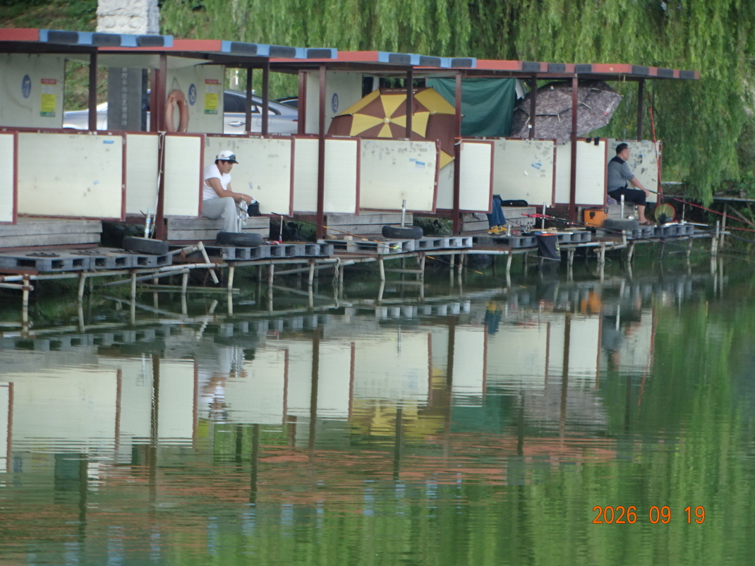 DSC08843.JPG