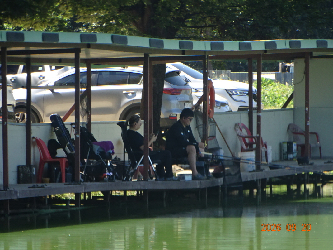 DSC08870.JPG