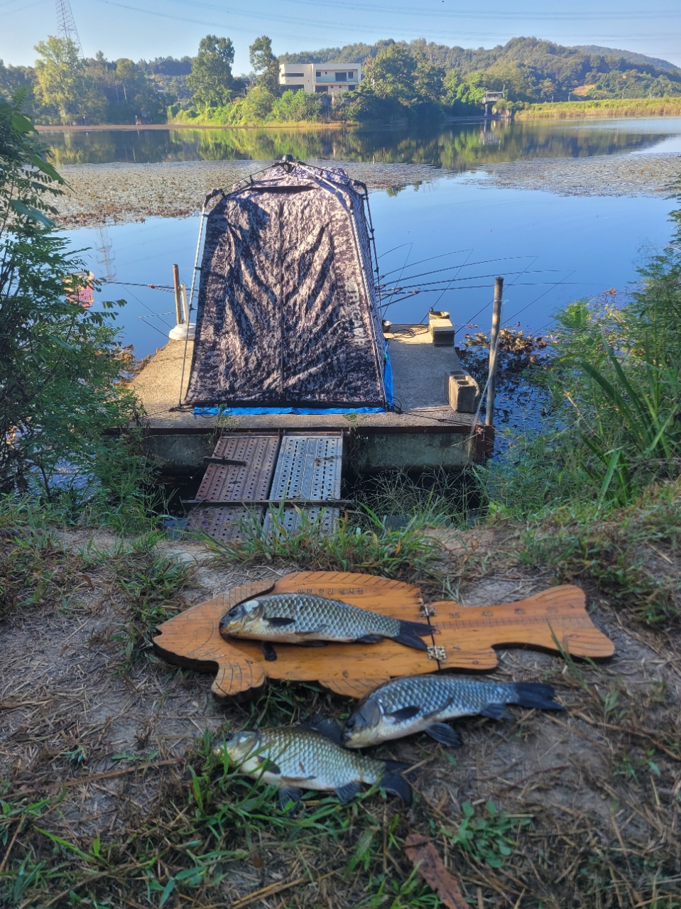 �⸮������_����_20260920_29.jpg