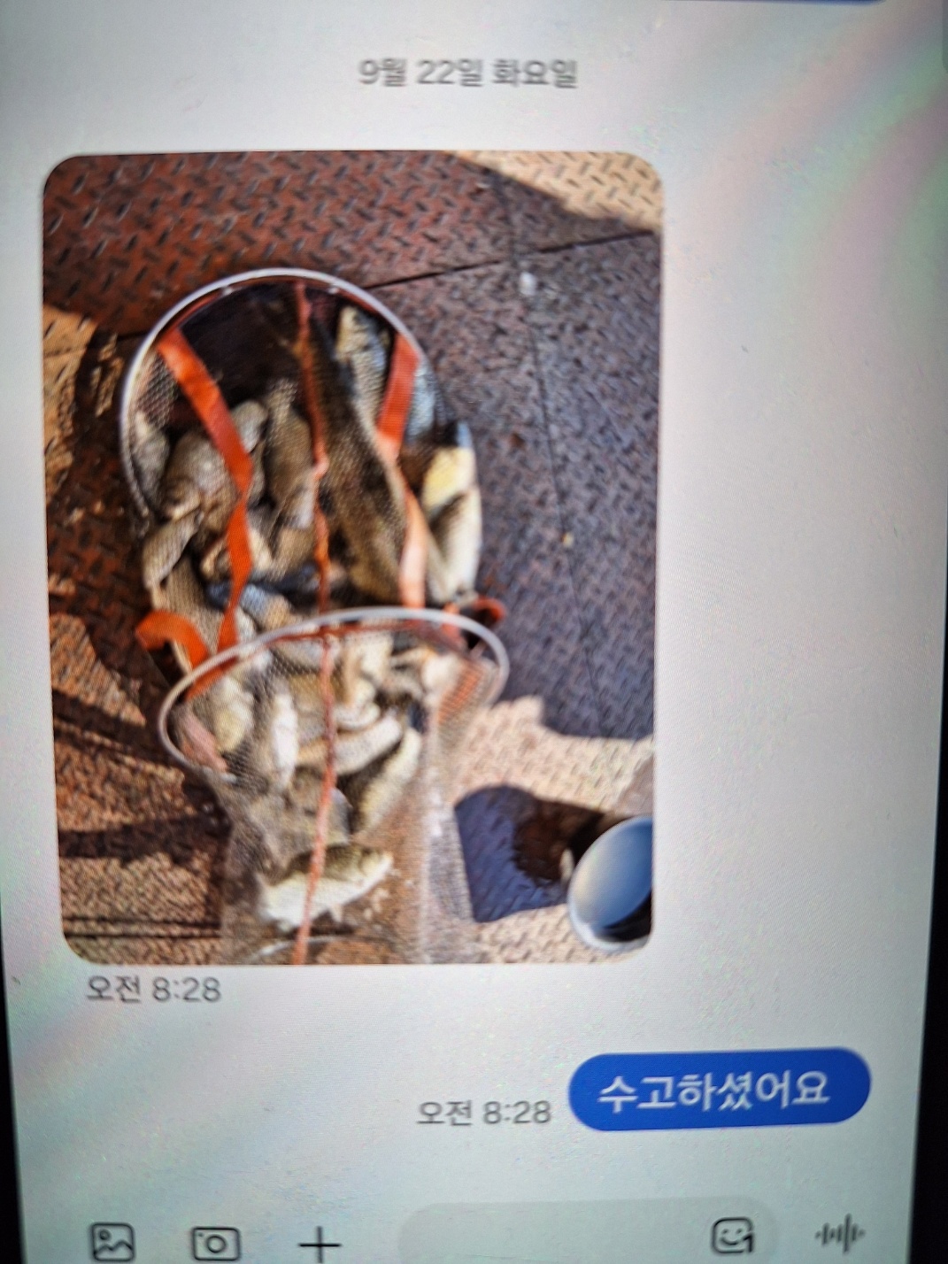 KakaoTalk_20260922_083051052.jpg