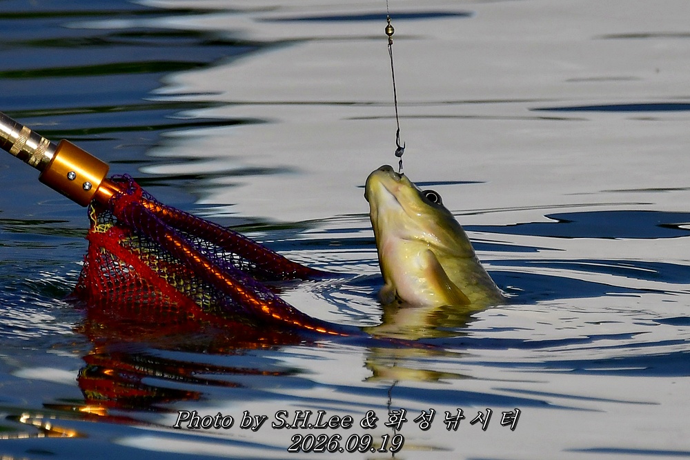 DSC_1764.JPG