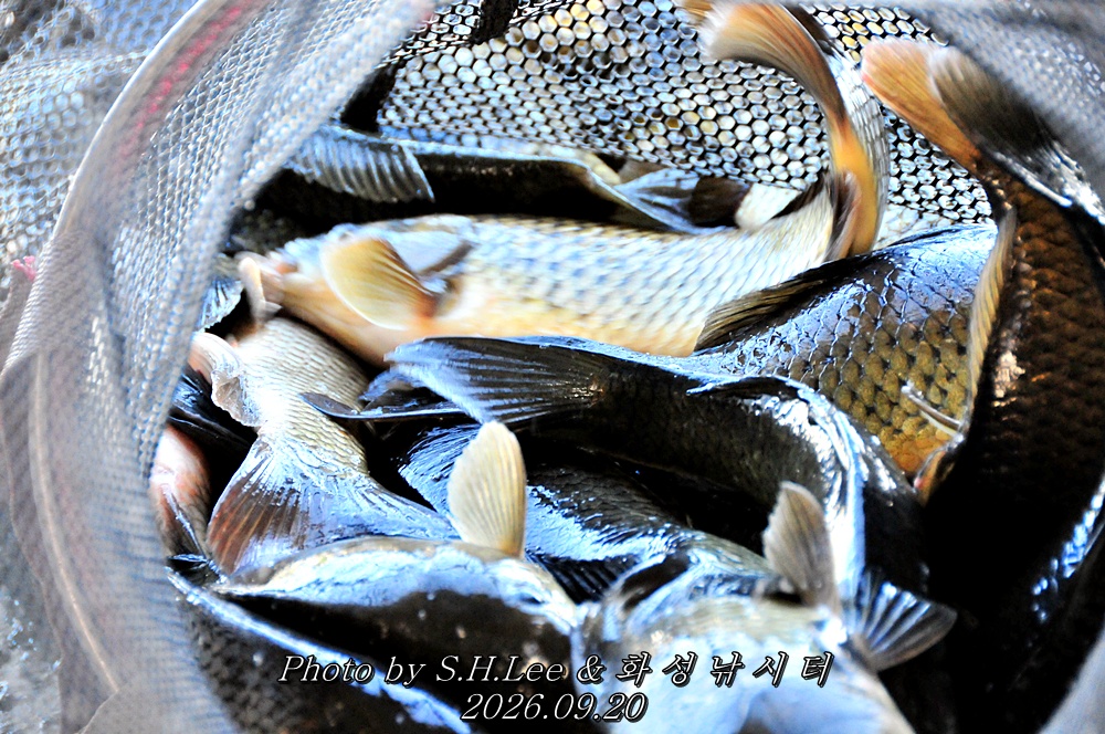 LSH_6680.JPG