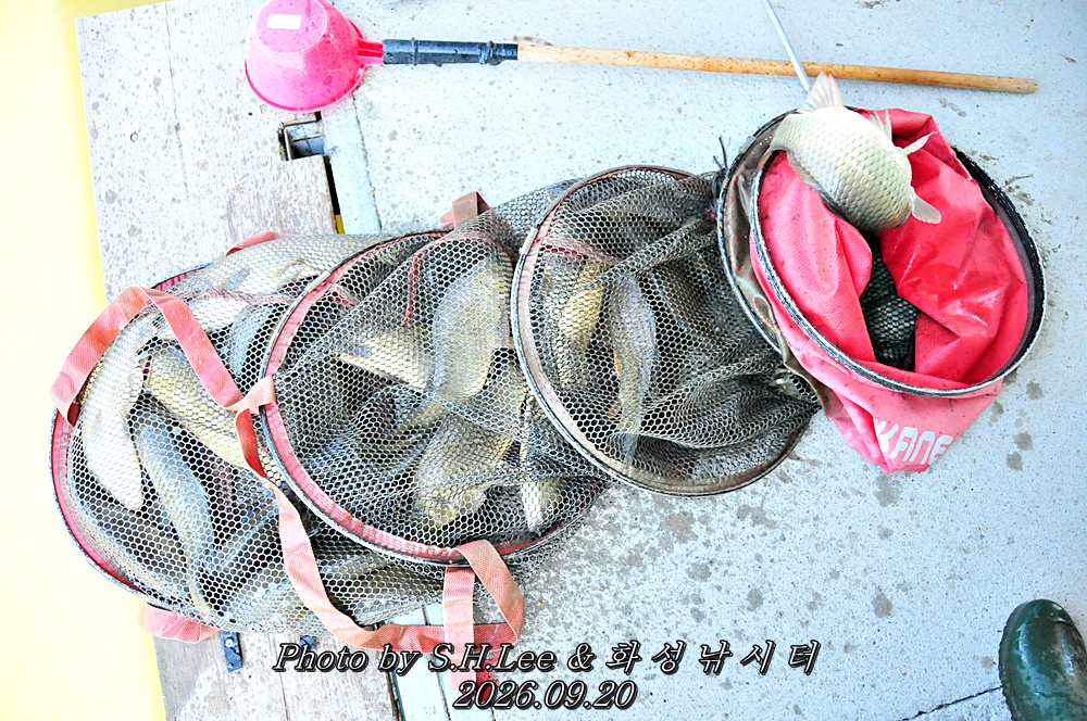 LSH_6708.JPG