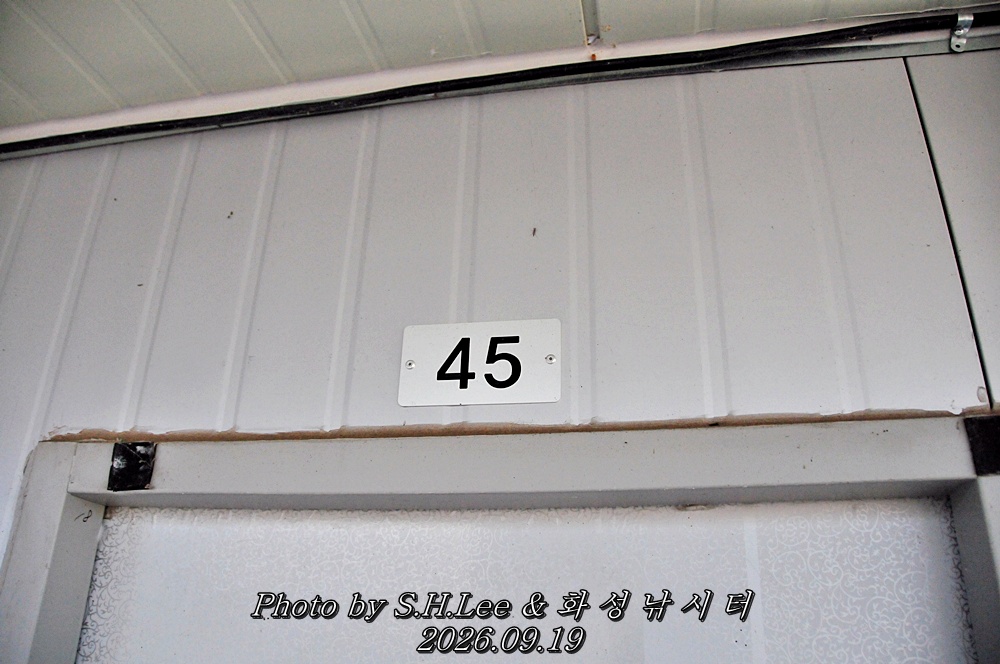 LSH_6652.JPG