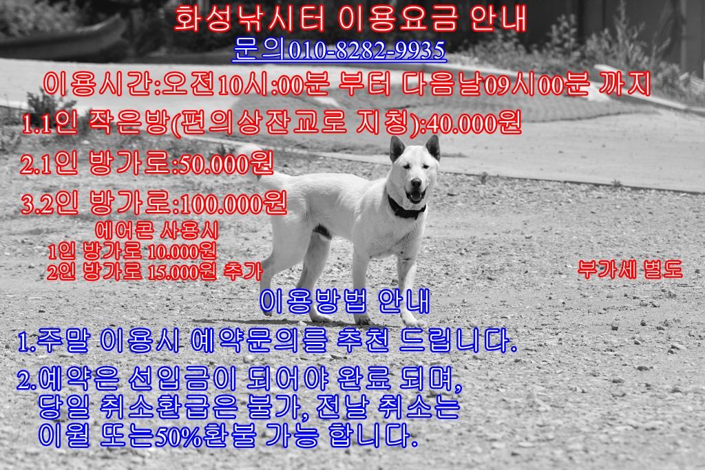 _LSH8272.JPG
