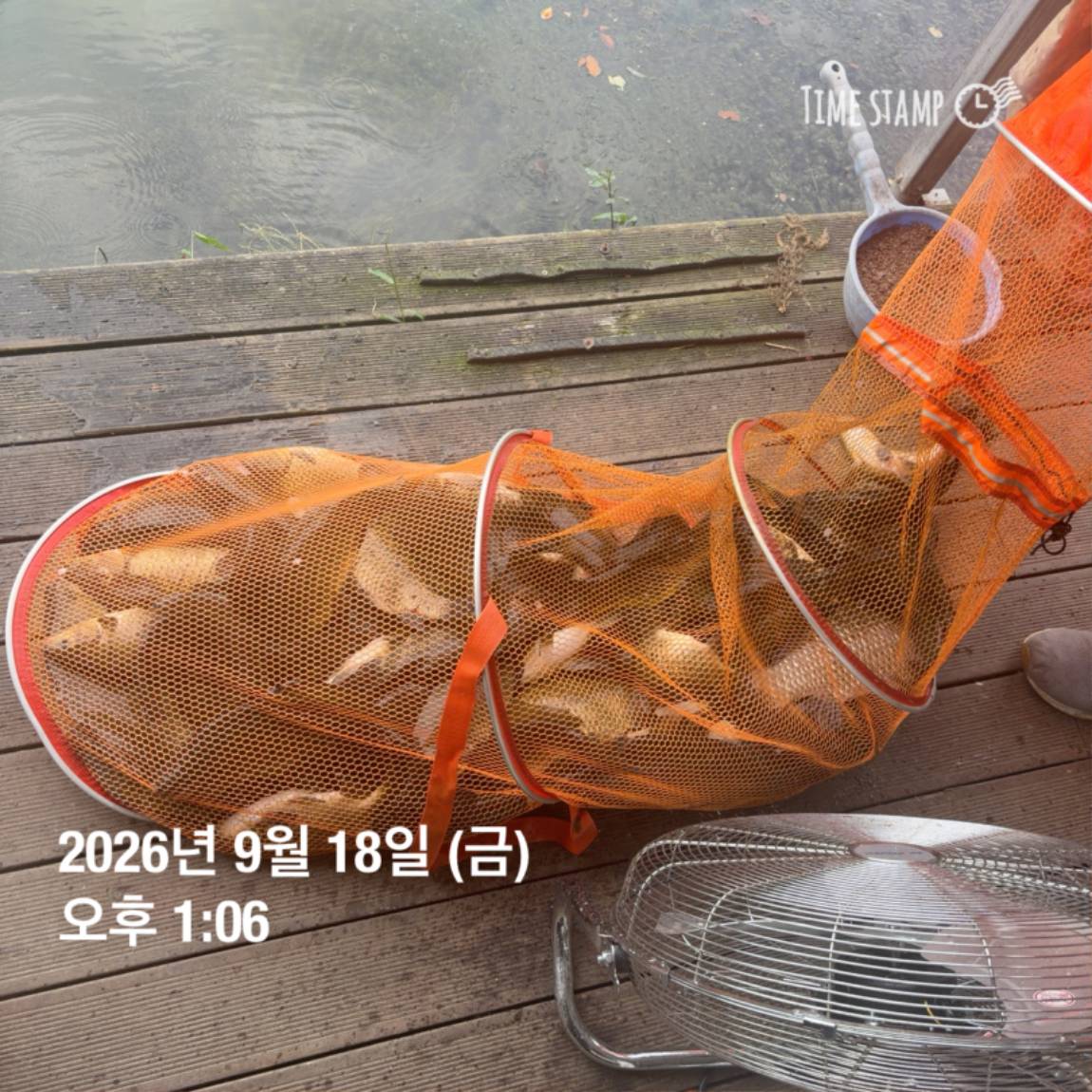 KakaoTalk_20260922_093105997_02.jpg