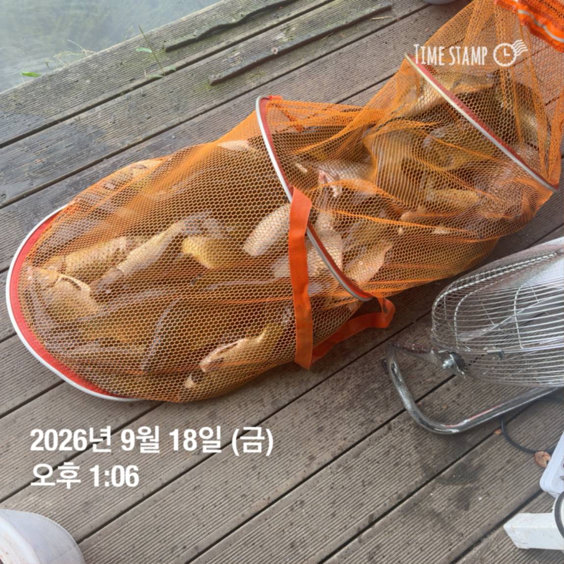 KakaoTalk_20260922_093105997_03.jpg