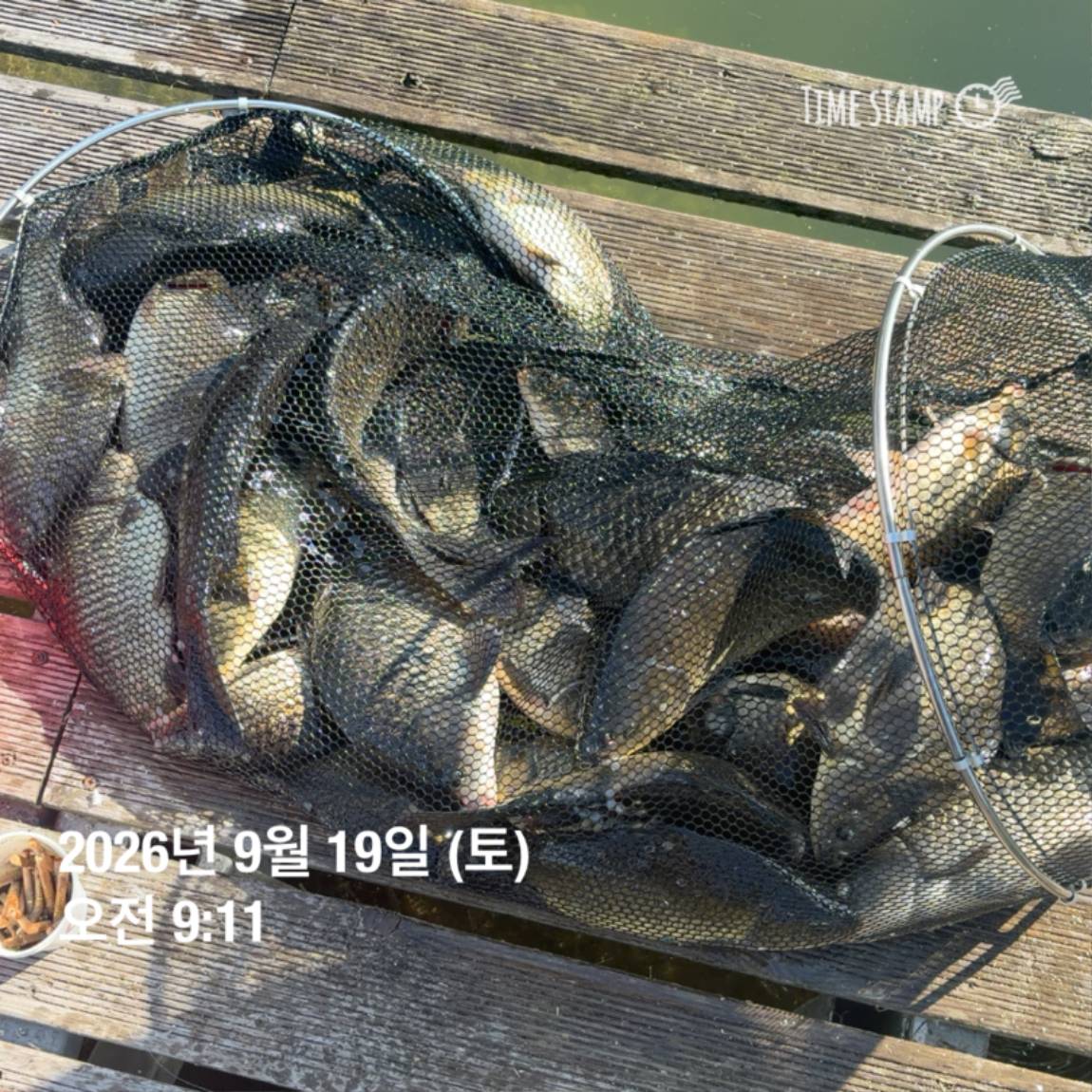 KakaoTalk_20260922_093110100_01.jpg