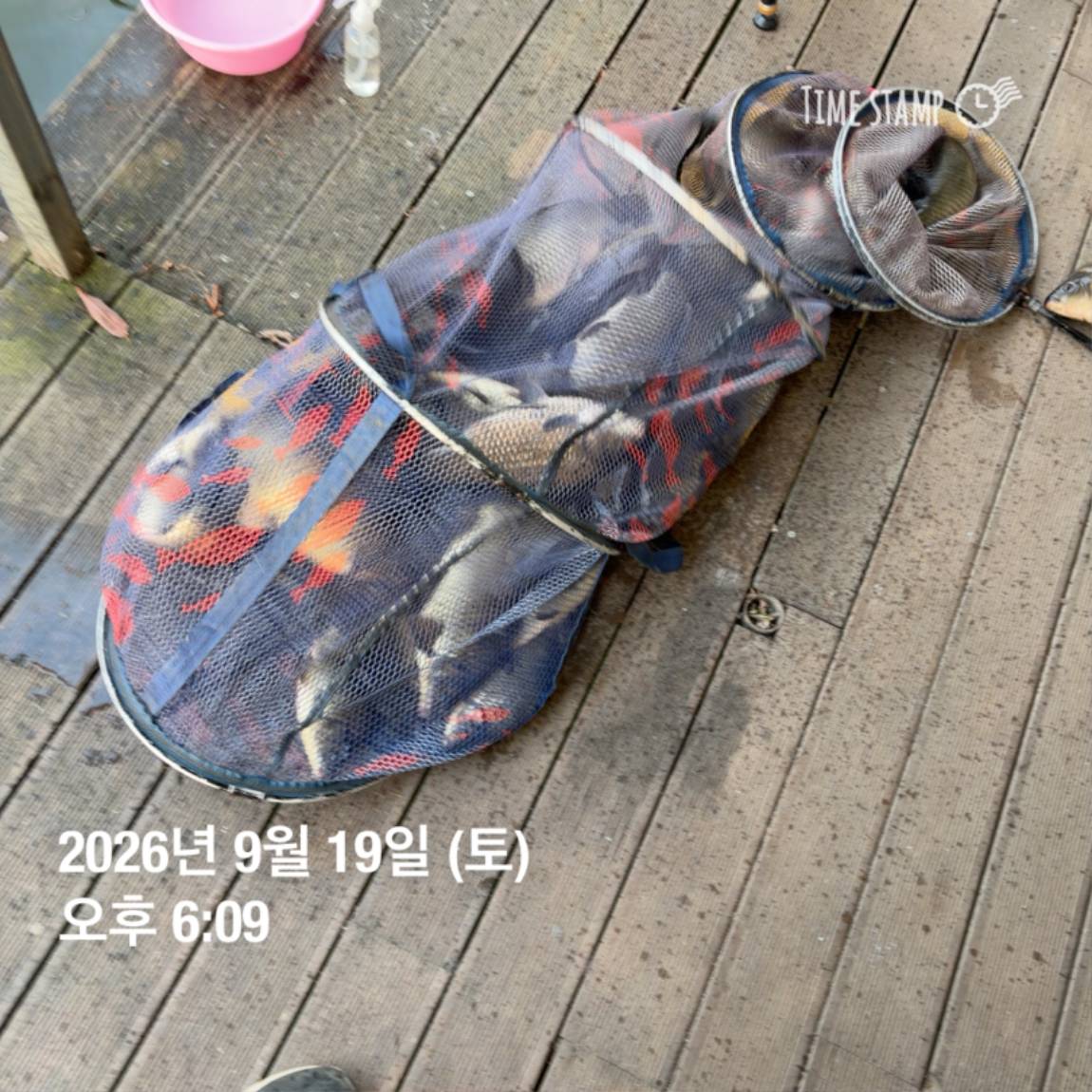 KakaoTalk_20260922_093105997_13.jpg