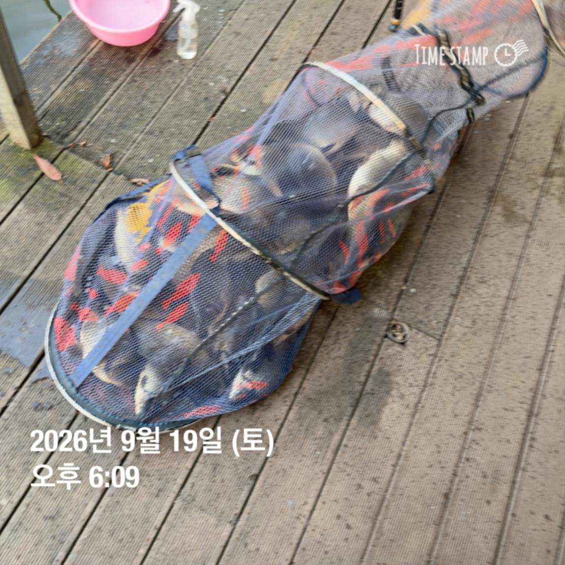 KakaoTalk_20260922_093105997_14.jpg