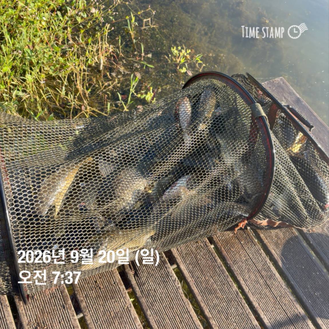 KakaoTalk_20260922_093105997_17.jpg