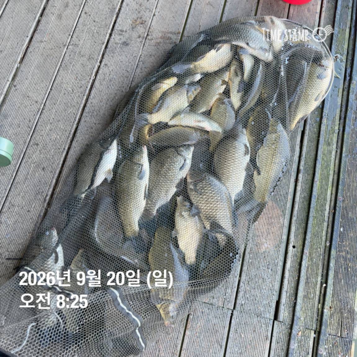 KakaoTalk_20260922_093105997_25.jpg
