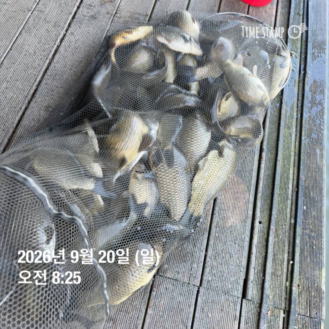 KakaoTalk_20260922_093105997_27.jpg