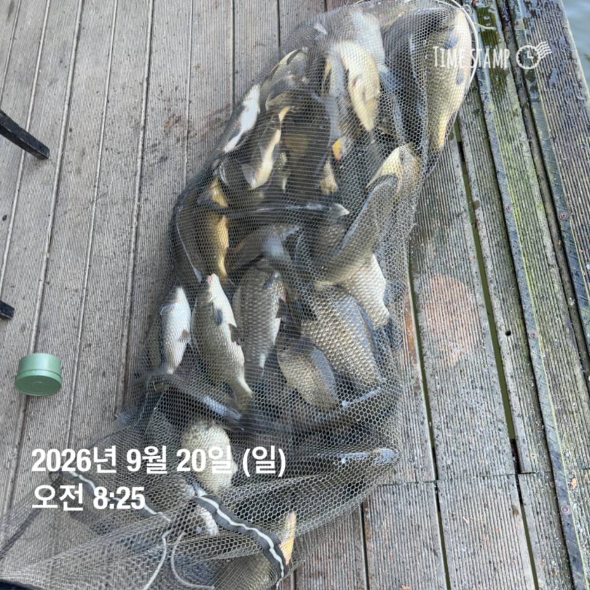 KakaoTalk_20260922_093105997_26.jpg